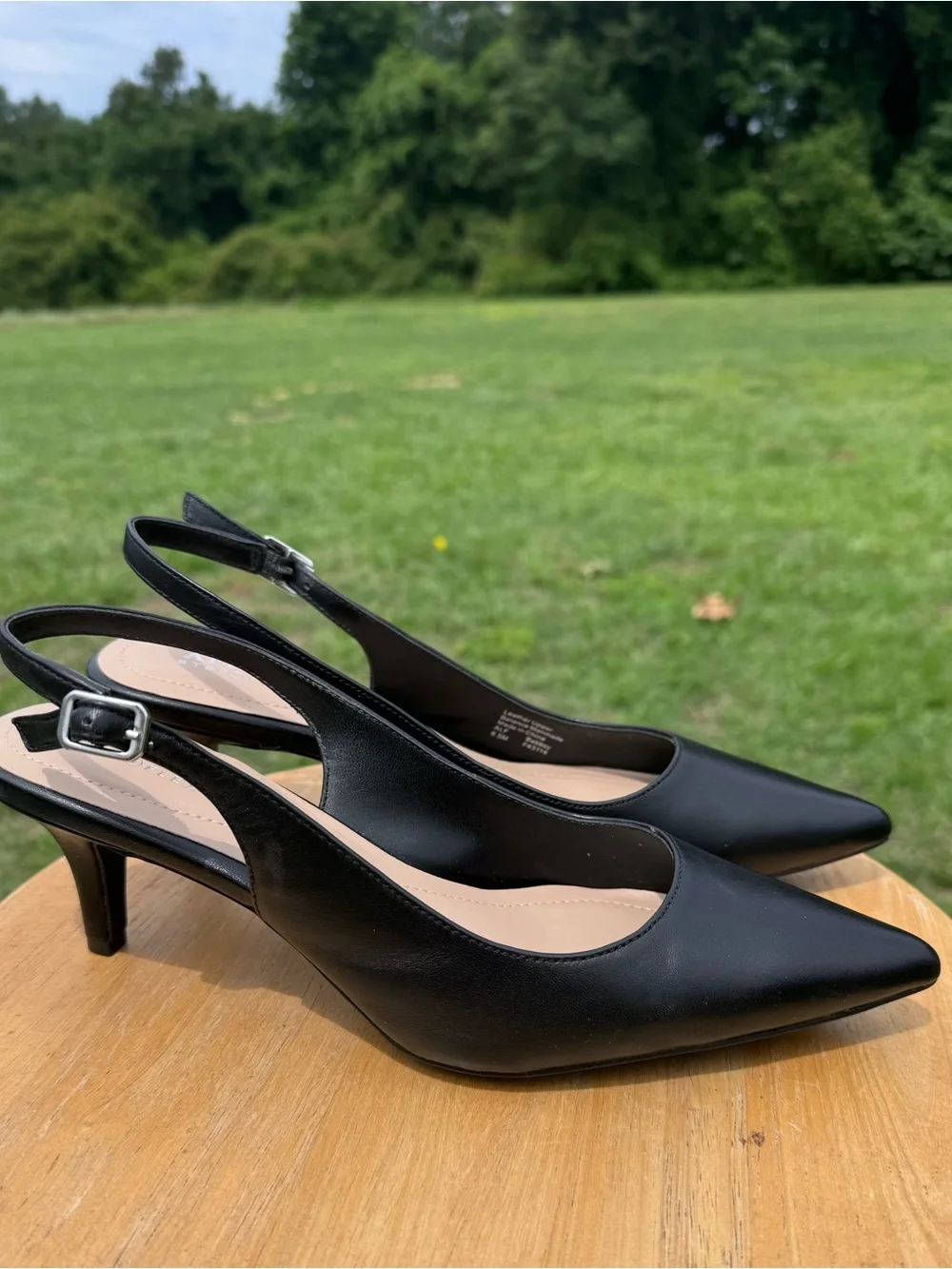 Ladies Alfani Black Pointed-Toe Slingback Pumps